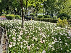 -玄武湖景区-情侣园游乐场