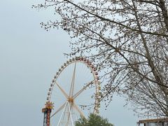 -石家庄市动物园