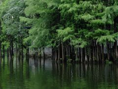 -荔湾湖公园