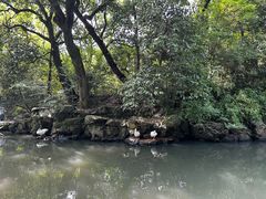 -兰亭风景区