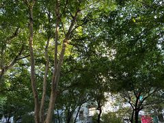 -贵阳北天主教堂