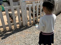 -前小桔亲子创意农场·草莓采摘·露营烧烤