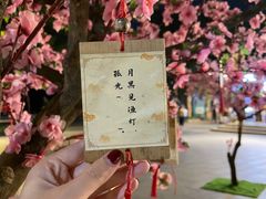 -印象西湖·最忆是杭州实景演出