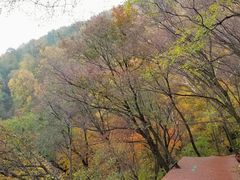 -野三坡百草畔景区