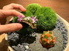 -Fumée 拂鳴