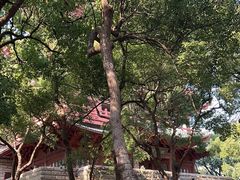 -城隍阁