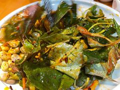 胡豆拌折耳根-永乐饭店