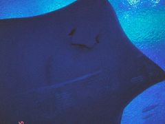 -珠海长隆海洋王国