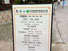 -西双版纳原始森林公园