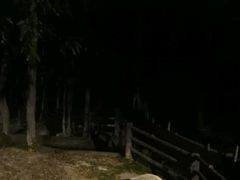 -清迈夜间动物园