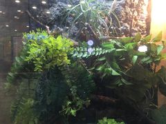 动物-凯德广场(学府店)