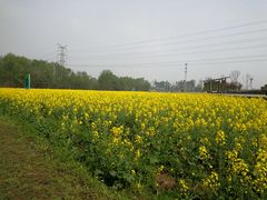 -桤木河湿地公园