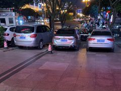 -椿记烧鹅(叠彩店)