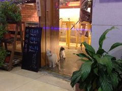 iphone_upload_pic-MIKAKU(万达广场上海宝山店)