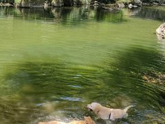 -磐安十八涡风景区