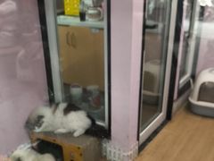 -联合动物医院(光谷诊疗中心)