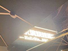 -雪熊精酿·哈尔滨烧烤酒馆(非遗大串店)