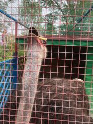 -萌宠亲子动物乐园(槐房万达店)