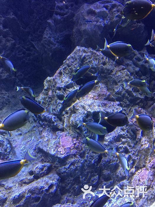 海濱城浩海立方海洋館-圖片-雙流區周邊遊-大眾點評網