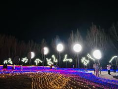-淄博花灯齐彩城