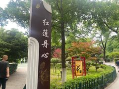 -莲湖公园