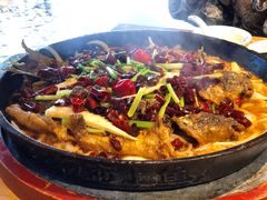 老板恋上鱼-老板恋上鱼(高新万达店)