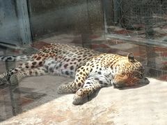 -西安秦岭野生动物园