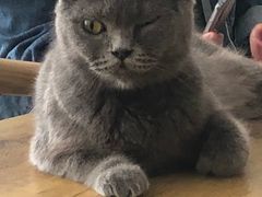 -平行世界·猫咖(首经贸店)