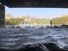 -春晖园度假酒店温泉