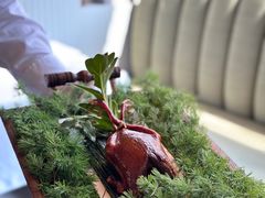 -蝶舍·MAISON PAPILLON