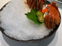 -阿五黄河大鲤鱼(英协路店)