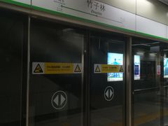 -竹子林(地铁站)