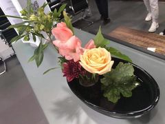 -北京之星奔驰4S店(亦庄店)