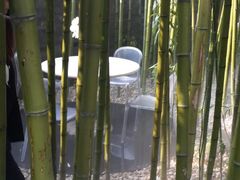 景观位-京兆尹(雍和宫店)