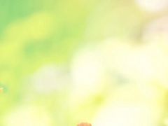 新四军纪念馆-新四军纪念馆
