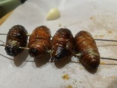 -晓波烧烤(南桥店)