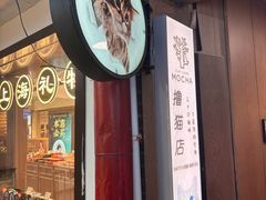 -MOCHA明星猫咖(田子坊店)