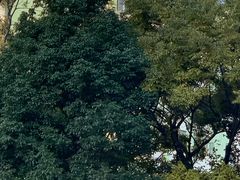 -百汇商业广场(东风西路店)