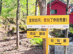 -洛阳白云山景区