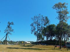 -春花秋色城市公园