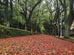 -桂林独秀峰王城景区