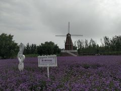 -渔岛海洋度假区