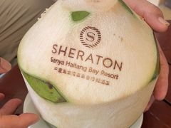 -三亚海棠湾喜来登度假酒店大堂吧