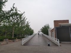 -大兴滨河森林公园