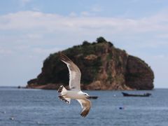 -棒棰岛宾馆景区