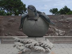 -广东惠东海龟国家级自然保护区