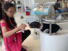 -怪兽屋·羊驼·猫咖·狗咖(俊华广场店)