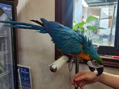 -观桥阁(锦溪店)