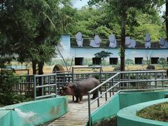-西安秦岭野生动物园