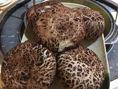 -重庆乌鱼庄·龙滋鲜(青羊大道店)